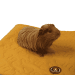 2x1 Honey Fleece Liner