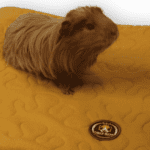 Ferplast Krolik 140 Plus cage fleece liner set.