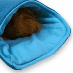 Flip Cuddle Lounge Sack for Guinea Pigs in Turquoise and Aqua