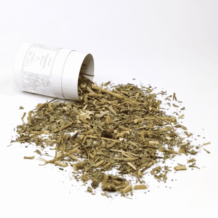 Echinacea Leaves